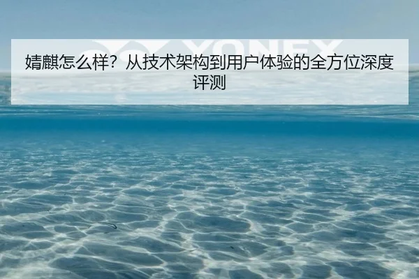 婧麒怎么样？从技术架构到用户体验的全方位深度评测
